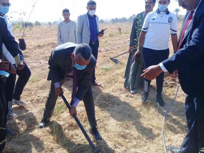 غرس 1200 شجرة مثمرة بجامعة جنوب الوادى