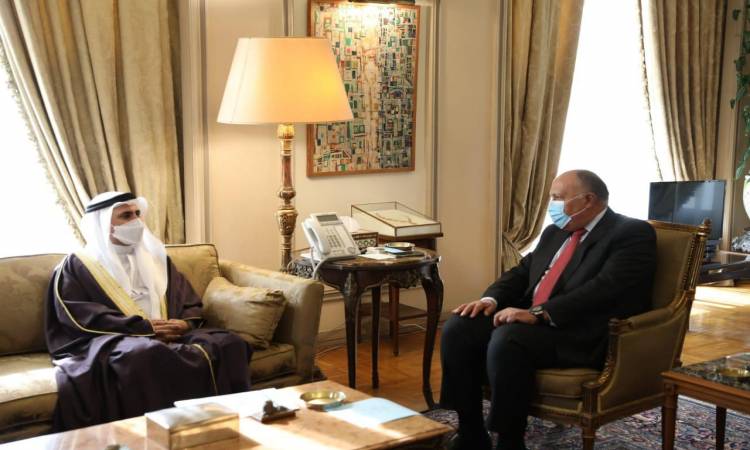 شكرى : الفترة المقبلة تشهد مزيدا من التعاون بين مصر والبرلمان العربى
