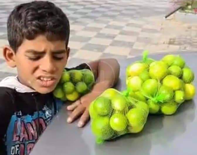 تحقيقات 