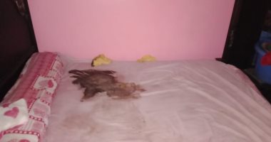 3 ديسمبر أولى جلسات محاكمة والدى رضيع طوخ 