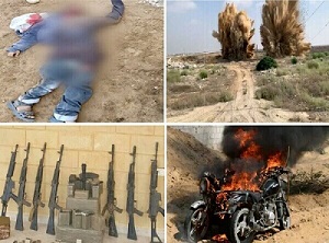القوات المسلحة: مقتل 40 تكفيريا وضبط 12 آخرين وتدمير 21 عربة محملة بالأسلحة والذخائر
