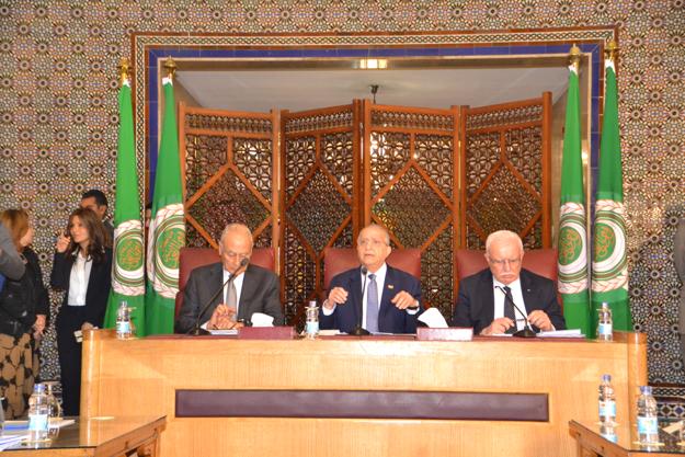العراق يطالب بوضع حلول غير إعتيادية للمشكلات التي تمر بها المنطقة العربية