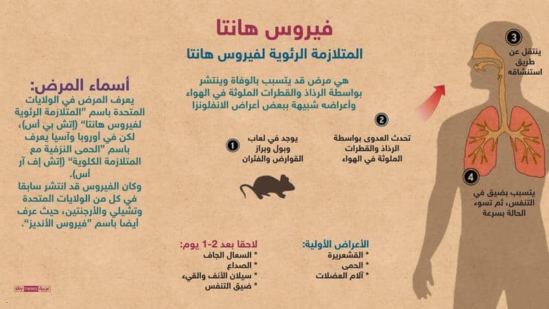 ماذا تعرف عن 