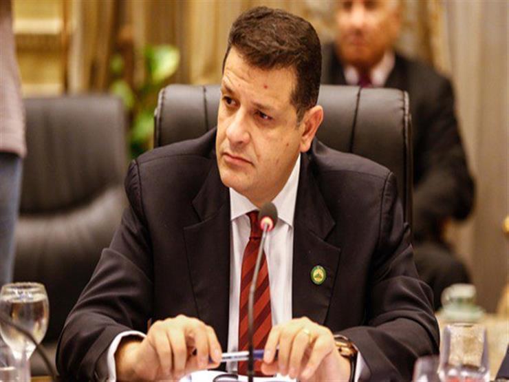 النائب طارق رضوان: حجر المصريين العائدين من الخارج على نفقتهم الخاصة غير منطقى