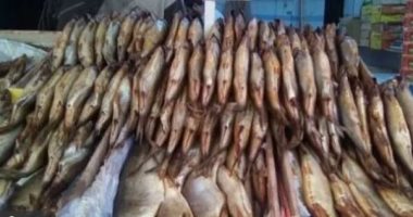 حجز تاجر عقب ضبطه بــ2.5 طن أسماك مملحة فاسدة فى السلام 
