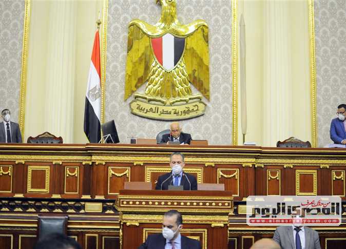 «عبدالعال»: مواجهة كورونا تعتمد على المصريين.. و«أي ست تقدر تصنع كمامة بنفسها»

