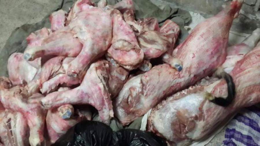 
بالتفاصيل.. ضبط 850 كيلو لحوم حيوانات نافقة بالبحيرة 