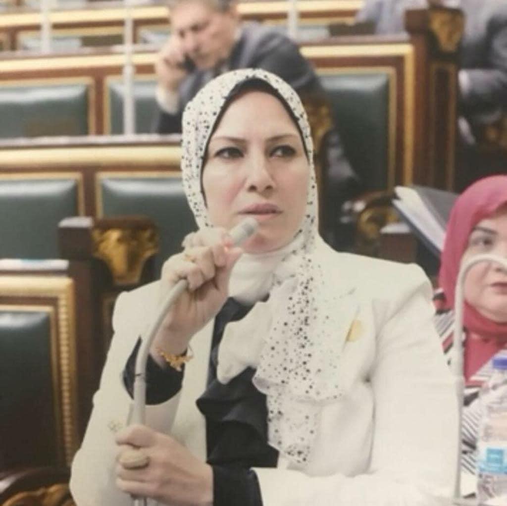 النائبة نوسيلة ابو العمرو تطمأن اهالي 