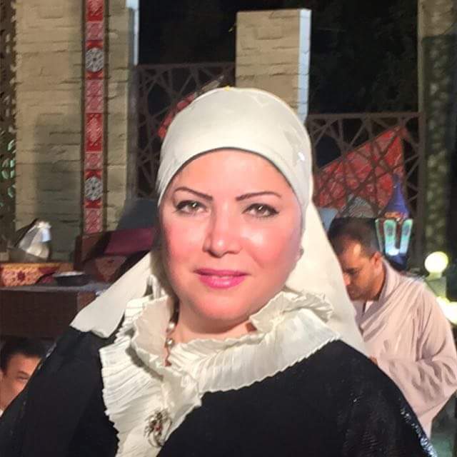 العبسي: الجيش المصري قادر على حماية الأمن القومي واستقرار المنطقة