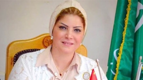 العبسي: ثورة 30 يونيو انتشلت الدولة المصرية من الخراب و مخططات الجماعات الإرهابية