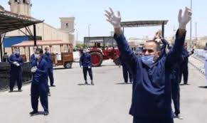 الإفراج عن 2130 سجينا بمناسبة ذكرى ثورة 23 يوليو وعيد الأضحى

 