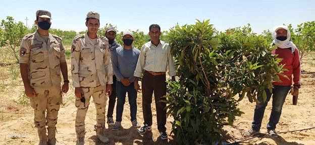 نص تقرير معهد بحوث أمراض النباتات خلال شهر يوليو 2020
