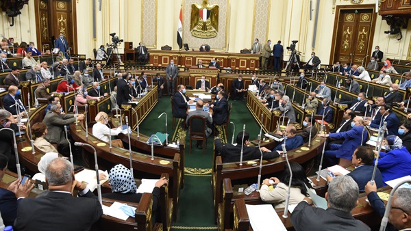 برلماني سابق: قانون تقسيم الدوائر يلبى مطالب القوى السياسية