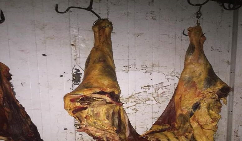 بيطري المنيا يحرر 11 مخالفة ويضبط 214 كجم لحوم بـ 4 مراكز