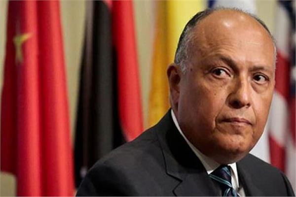 شكري : يجب انتهاج سياسة حازمة تجاه ممارسات تركيا في الدول العربية