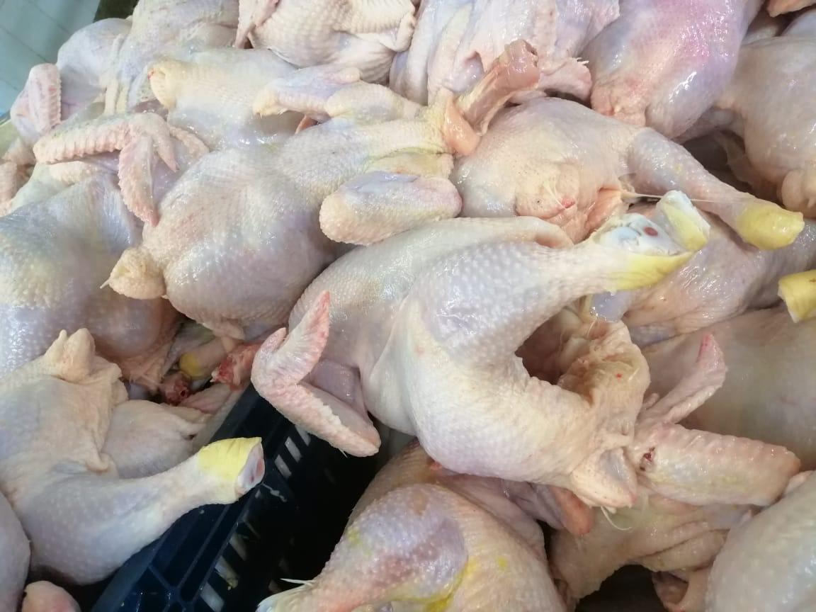 ضبط طن دواجن غير صالحة للإستهلاك بمدينة قنا

