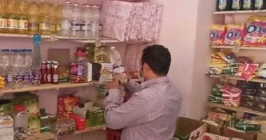 ضبط 219 مخالفة تموينية بأحياء الإسكندرية 
