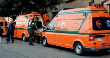 زوج يفارق الحياة حزنًا على زوجته بعد لحظات من وفاتها فى المحلة 
