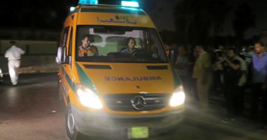مصرع شاب وإصابة آخر في حادث تصادم موتوسيكل بميكروباص بالمحلة 
