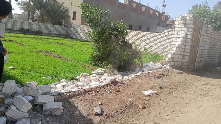الجيزة تزيل منشات مخالفه علي أراضي زراعية بالعياط 