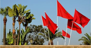 وزير الدولة المكلف بحقوق الإنسان فى المغرب يتقدم باستقالته من الحكومة 
