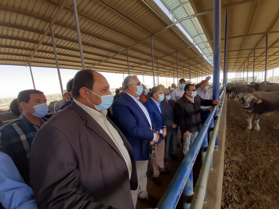 وزير الزراعة ومحافظ المنيا، يتفقدا مشروع استزراع 20 ألف فدان بمنطقة غرب المنيا

