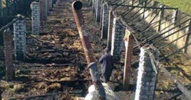 احتراق مزرعة دواجن ونفوق 3700 دجاجة بسبب ماس كهربائى بالدقهلية 
