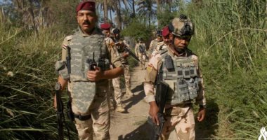مقتل 34 إرهابيا واعتقال 99 آخرين فى عمليات استهدفت فلول 