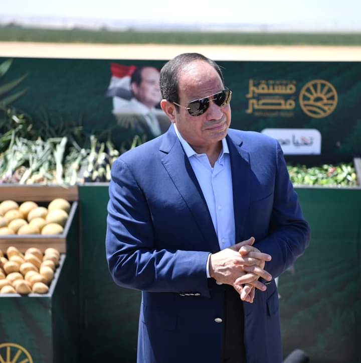 تفصيل مشروع مستقبل مصر.. يشمل محاصيل تحقق الأمن الغذائى وتساهم في الاكتفاء الذاتى