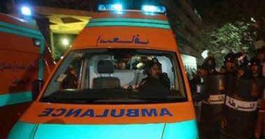 عاطل يطعن والدته وزوجة شقيقه بسكين بسبب خلافات عائلية فى المنوفية 
