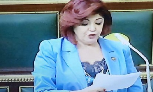 رئيس سياحة النواب : المرأة سطرت تاريخ بأحرف من ذهب فى 30 يونيو 

