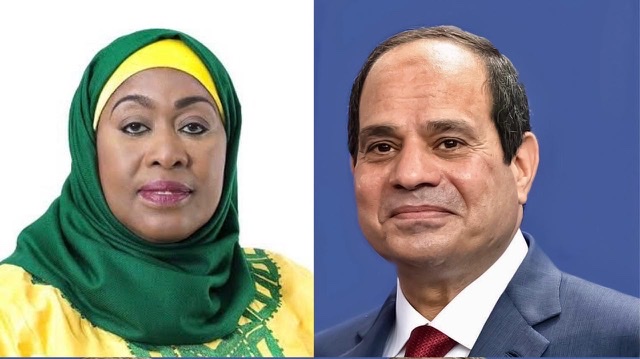 الرئيس السيسي يجري مباحثات هاتفية مع رئيسة تنزانيا حول تطورات سد النهضة