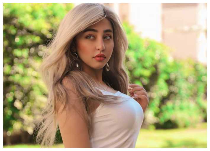 المحكمة الاقتصادية تخلي سبيل فتاة التيك توك ريناد عماد بكفالة 20 ألف جنيه

