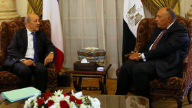 مصر وفرنسا تؤكدان أهمية احترام إرادة الشعب التونسي ودعم مؤسساته