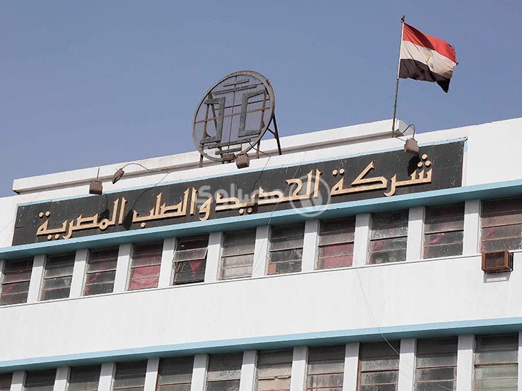 تأجيل دعوى تطالب بوقف تنفيذ قرار تصفية شركة الحديد والصلب لجلسة18 أكتوبر 


