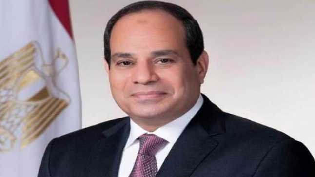 بالفيديو.. السيسي لحدادة المنصورة: 