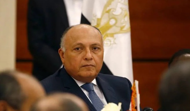 غدًا.. شكري يستقبل نظيره الهندي ووزيرة البيئة والتنمية المستدامة لجمهورية الكونغو