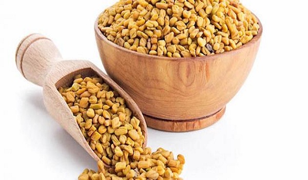 نبتة الحلبة تعد 