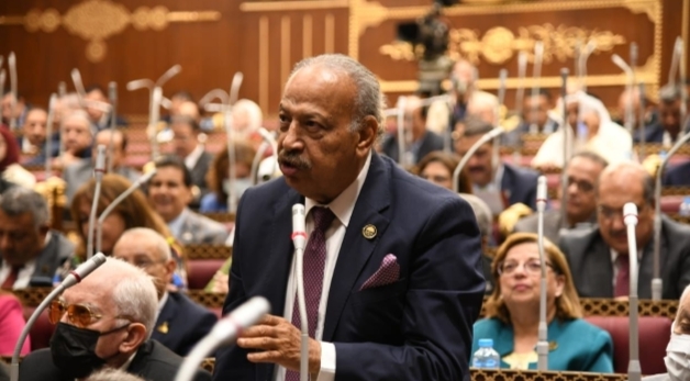 النائب هاني العسال: إطلاق الشئون المعنوية للقوات المسلحة مشروع 
