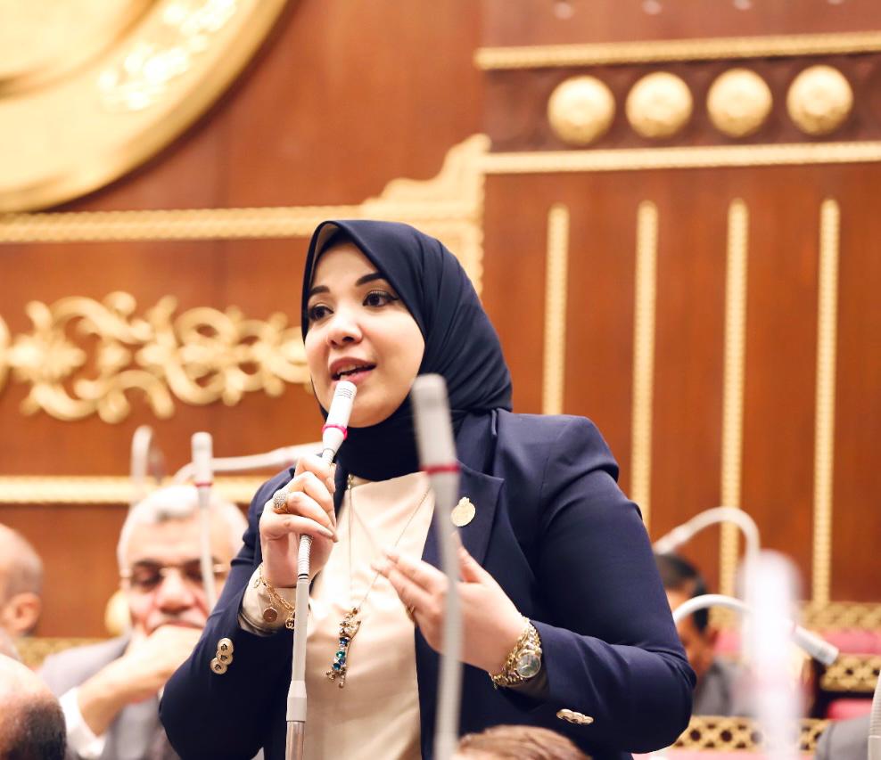 دينا هلالي: البرلمان الأوروبي يتبع نظرة أحادية ضد مصر تفتقر للموضوعية والحياد

