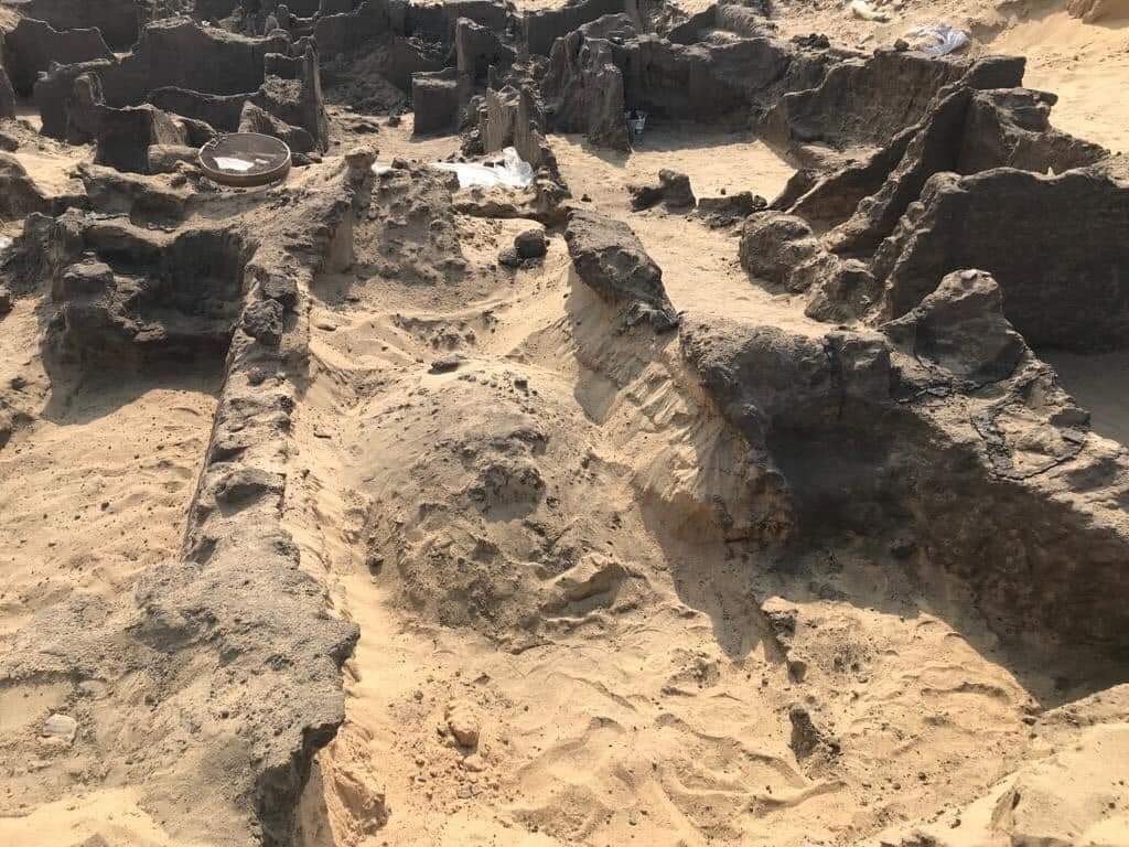 خبير أثري يكشف سر وضع تمائم من رقائق الذهب في أفواه الموتى