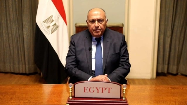 وزير الخارجية يُشارك عبر الفيديوكونفرانس في القمة العالمية للتنمية المُستدامة WSDS-2022