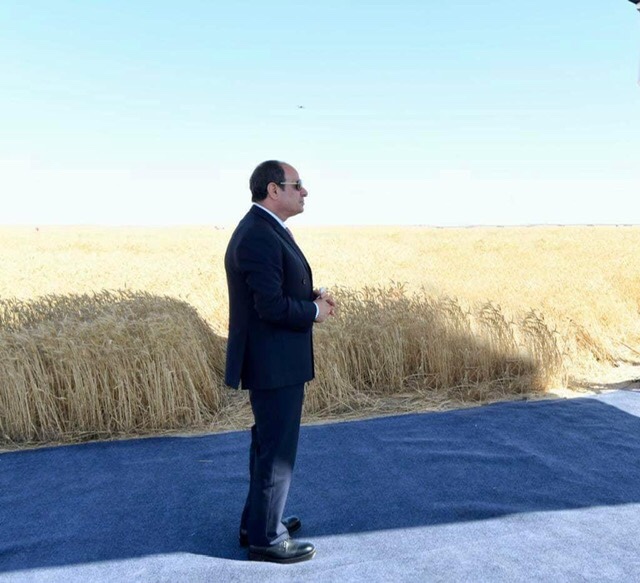 بالصور.. الرئيس السيسي يشهد بدء موسم حصاد القمح في توشكى