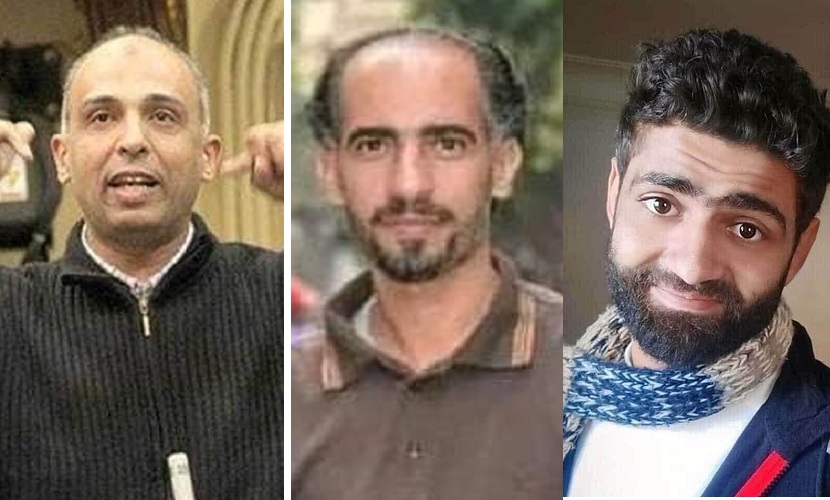 بدء قطف ثمار 