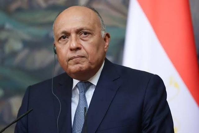 وزير الخارجية يتوجه إلى لندن لتدشين مجلس المشاركة الأول بين مصر وبريطانيا 