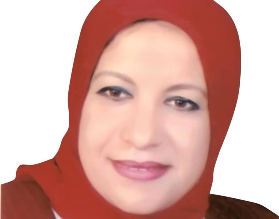 طارق عامر والحكومة والأزمات 