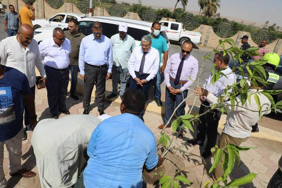 تفعيلاً للمبادرة الرئاسية لزراعة 100 مليون شجرة زراعة مجموعة من الأشجار بالمدخل الشمالي لمدينة المنيا
