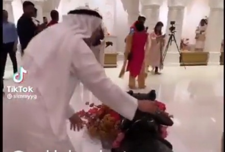 وصول أول بقرة هندوسية للعبادة في الإمارات (فيديو)