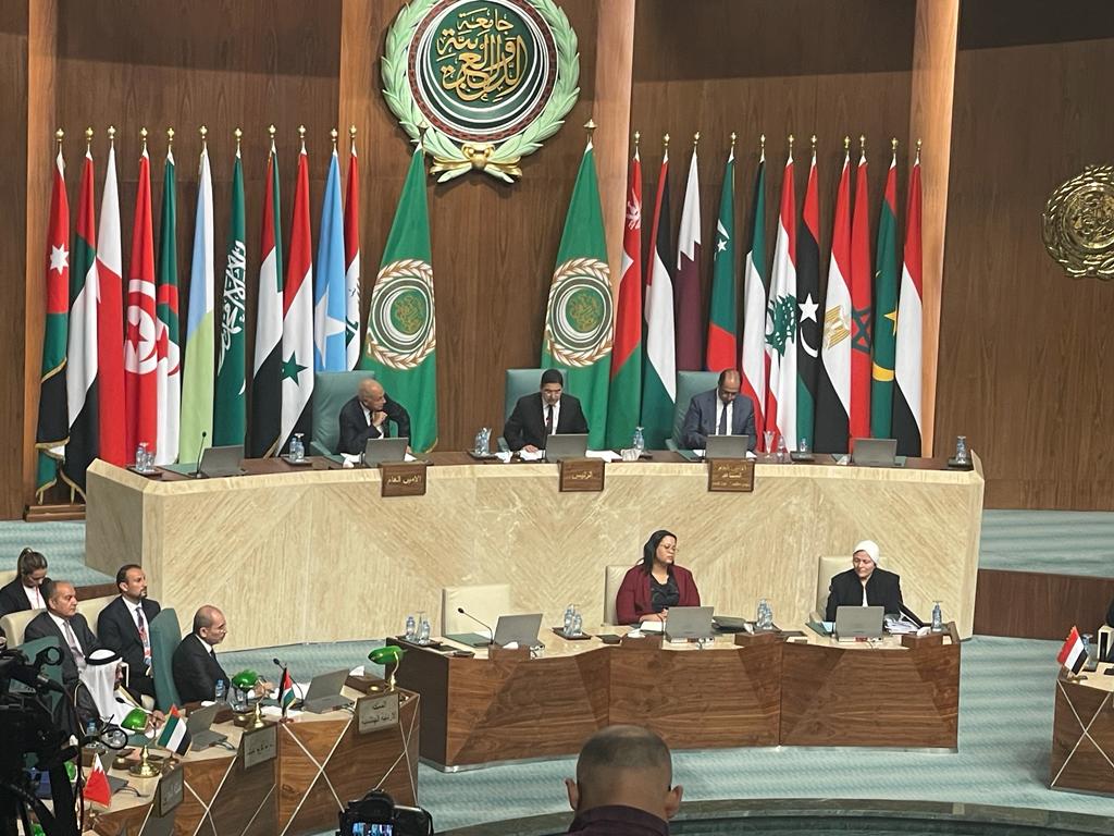 وزراء الخارجية العربية يؤكدون ضرورة الوقف الفوري للحرب الإسرائيلية على قطاع غزة.. نص القرار