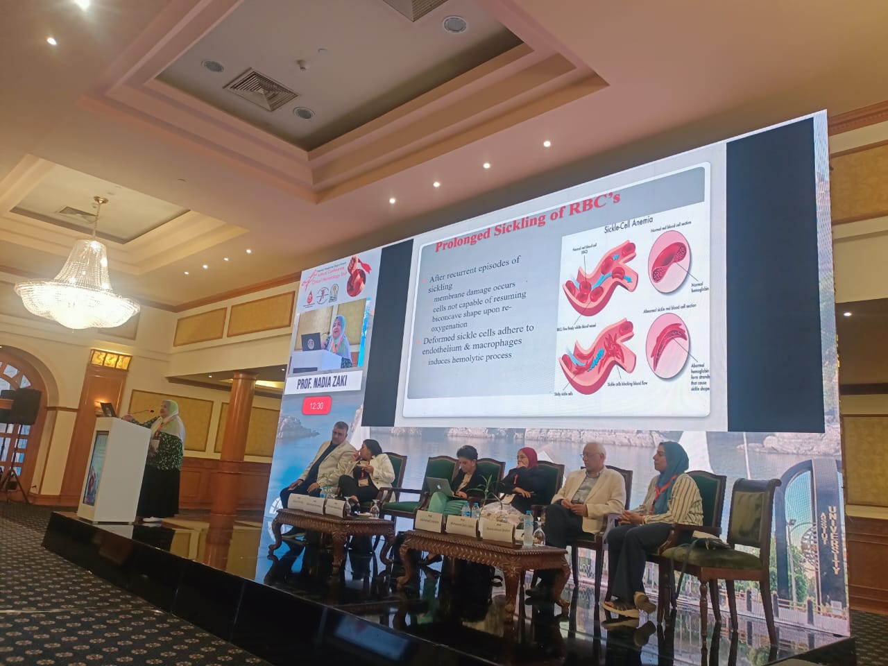 «الصحة» تنظم تدريبًا لأطباء الوحدات الصحية بـ 4 محافظات للتوعية بأمراض أنيميا البحر المتوسط والأنيميا المنجلية